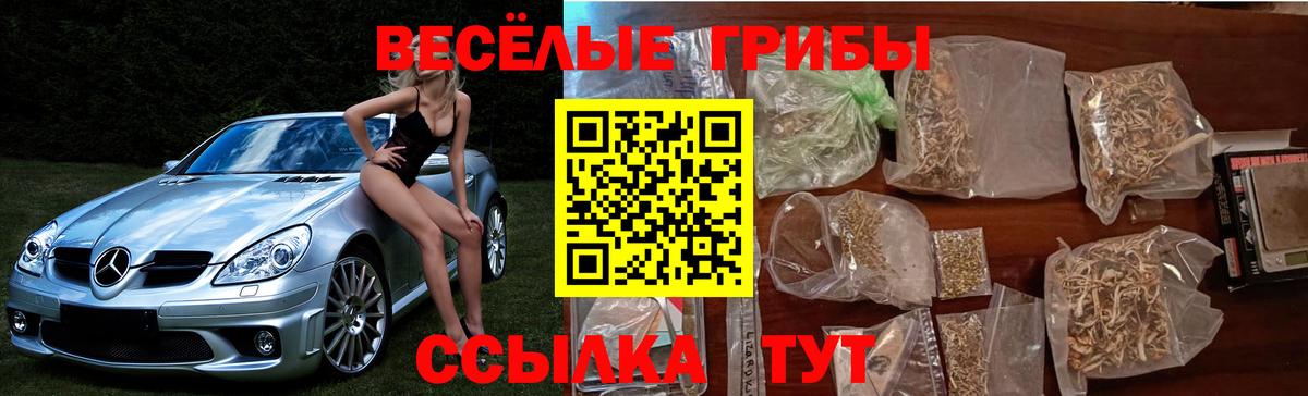 Мелеуз  Галлюциногенные грибы Cubensis  Вход с VPN  как найти наркотики  Псилоцибиновые грибы GOLDEN TEACHER 